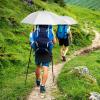 imageG4Free 46 Inch Large Hiking Umbrella Ultralight UV Silver Reflective Fullsize Trekking Backpacking UmbrellaSilverDeep Blue