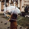 imageG4Free 62 Inch Clear Golf Umbrella Transparent Auto Open Large Stick Umbrella Oversized Windproof Waterproof with Sleeve for Women MenCleartwo pack