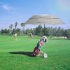 imageG4Free 62 Inch Portable Golf Umbrella Large Oversize Double Canopy Vented Windproof Waterproof Automatic Open Stick Umbrellas for Men and WomenWine RedGray